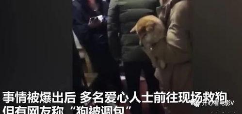 主人调教视频国产,从调教视频看国产崛起之路